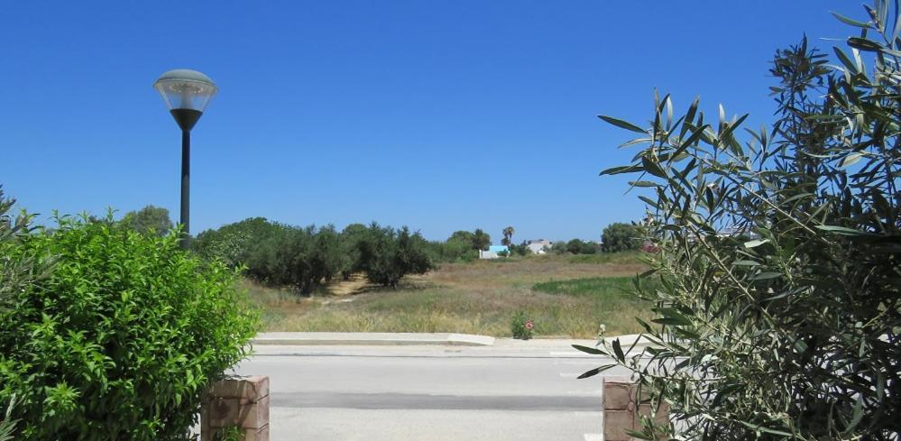 Elia Mare Apartment Mastichari  Dış mekan fotoğraf